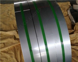 C67s CK67 C67 1.1231 CK68 XC68 70cr2 AISI 1065 Spring Steel Strips